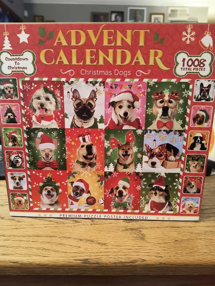 Cat Lovers / Many Breeds