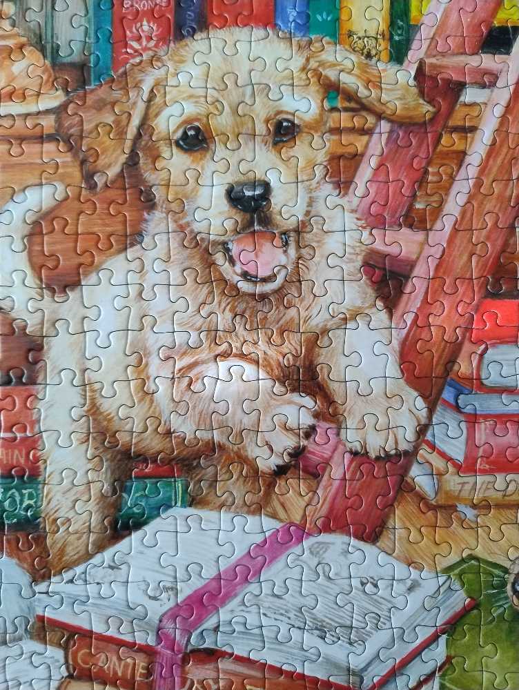 Shaggy Dog Story - Gibsons puzzle collectible - Main Image 3