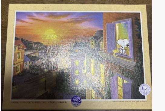 Christmas Fence In House