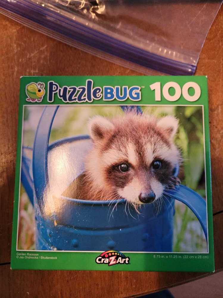 Shanghai Disneyland Duffy & Friends