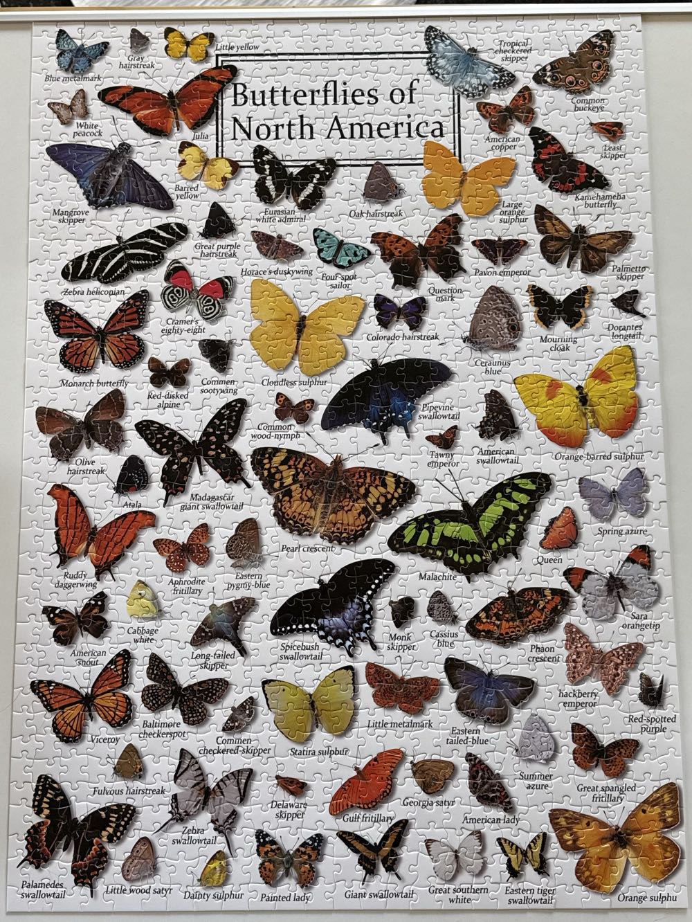 The Abdominable Snowbeast