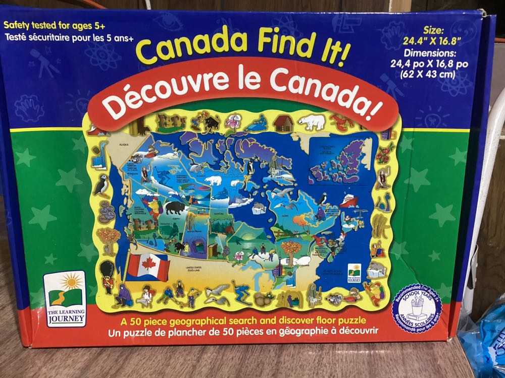 Ginger Cat Relaxing On A Bookshelf 🌀