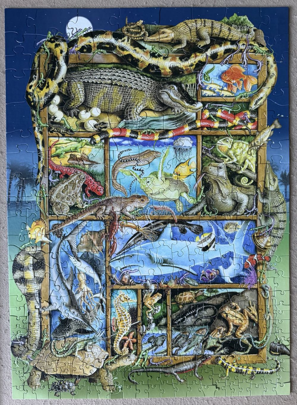 Hot Wheels A Basic Cars-mystery Models 1 Pack