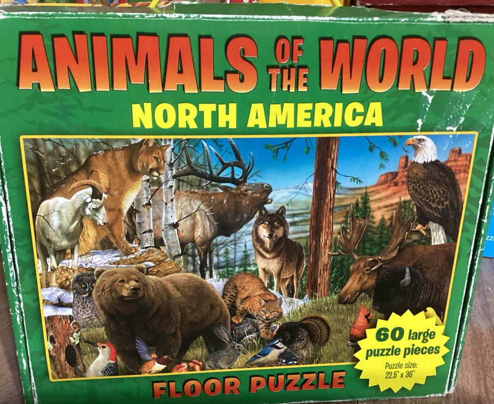 Vista View Brand Oranges