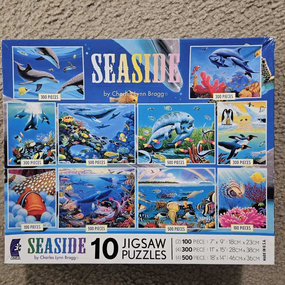 English Flower Shop🟦