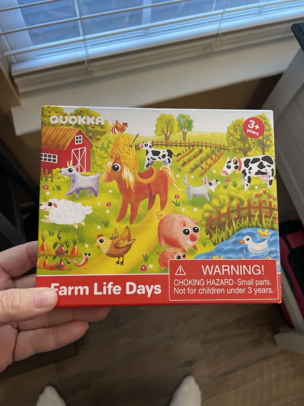 Beach Fun at the Goo Lagoon