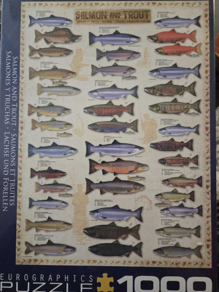 Cross & Glory Vivid Vistas Of Mexico Piece Jigsaw For Adults De Rompecabezas