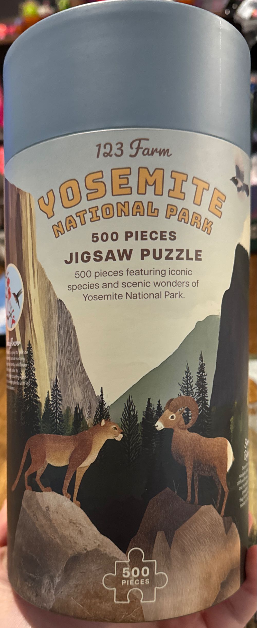 Summer Village Stream