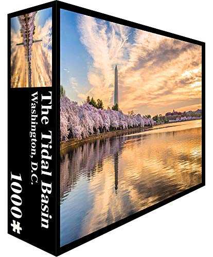 Pezel Roll The Dice Pieces