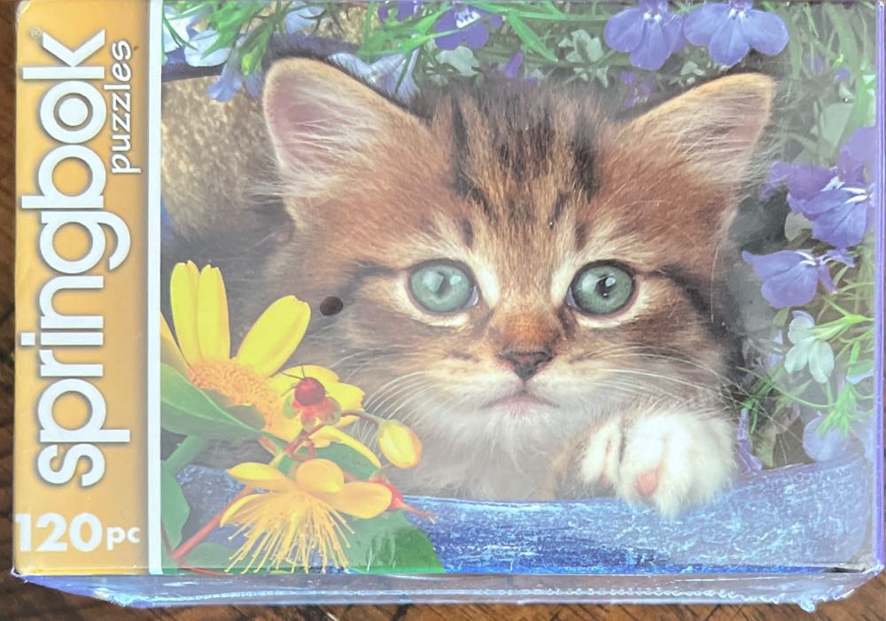 Italy And Greece (1)