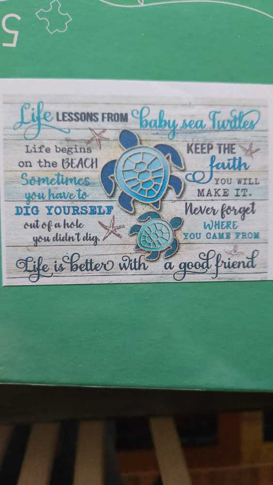 One Mouse Open Sleigh