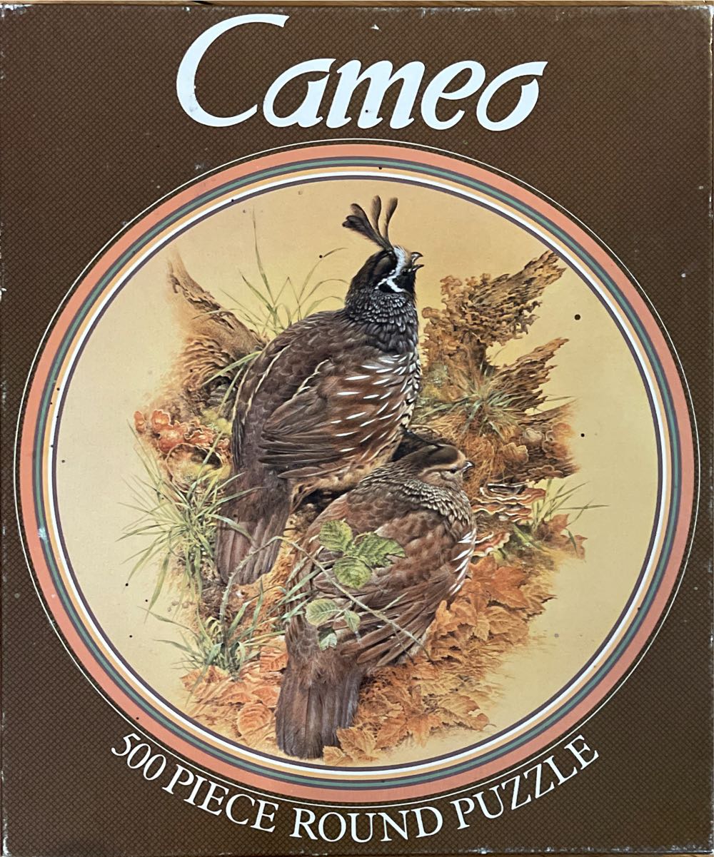 State Shapes : Massachusetts