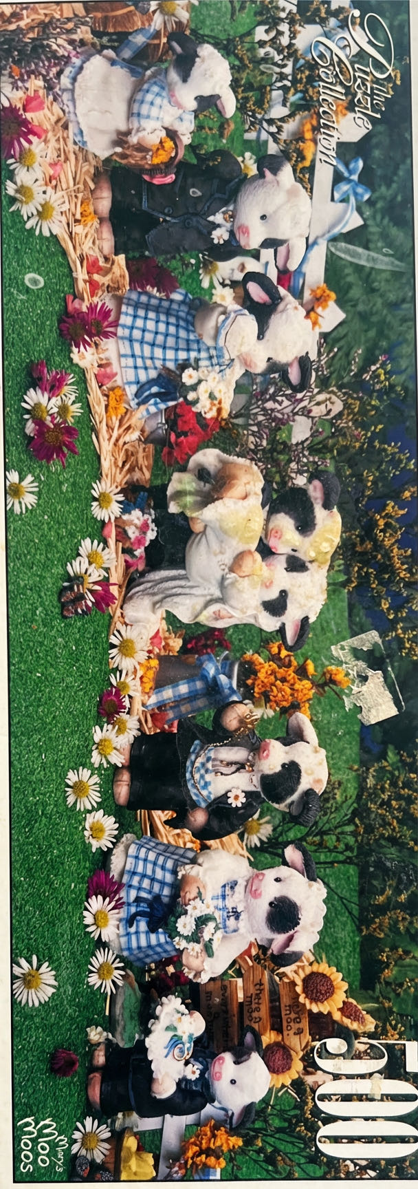 Story Time. Those sunshine Days