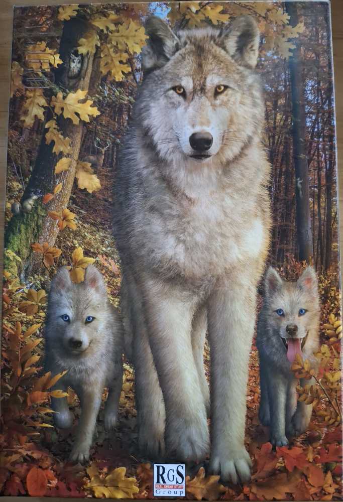 Clementoni Magic 3d Piece Jigsaw Puzzle Amazon Rain Forest Nib Cheetah