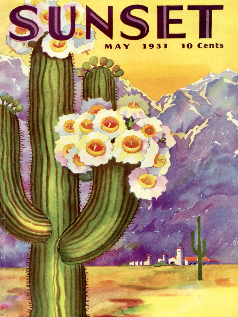 Sunset : Cactus Blooms - New York Puzzle Company puzzle collectible [Barcode 819844017927] - Main Image 2