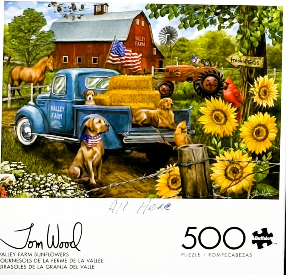 Summer Village Stream