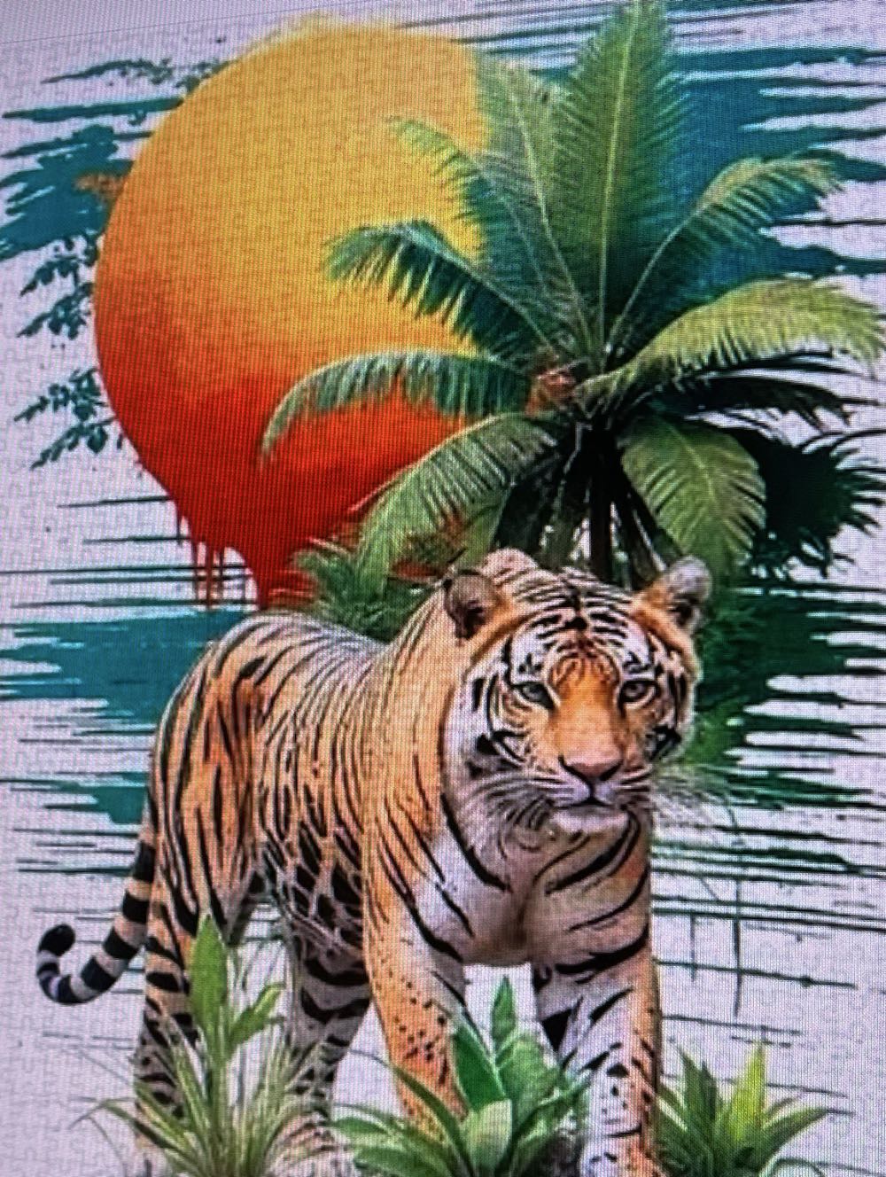 Dinosaur Valley 🆕