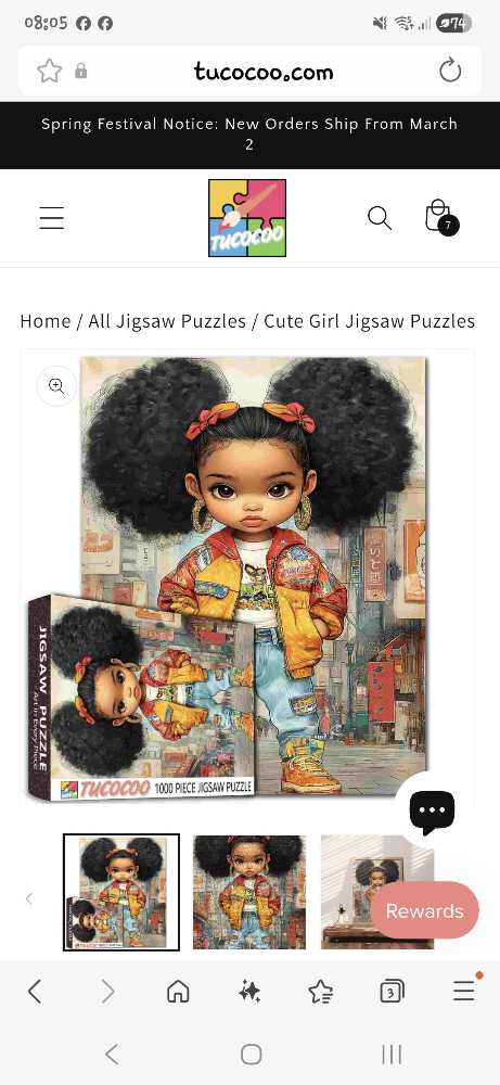 Newcastle Gibsons Jigsaw Newcastle