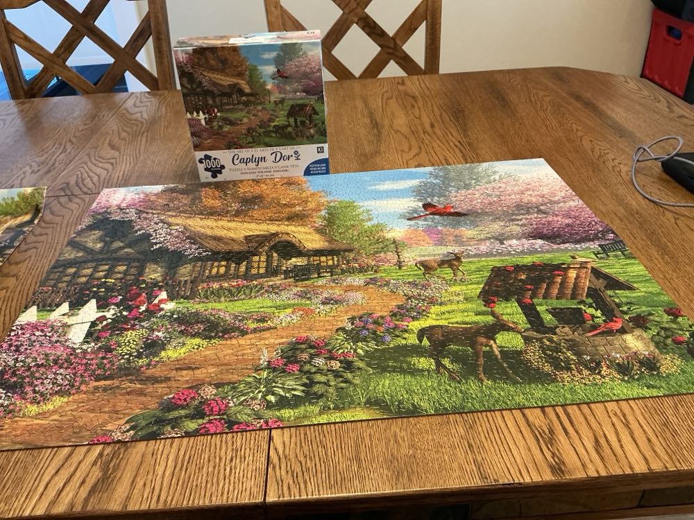 Kittens In The Kitchen 