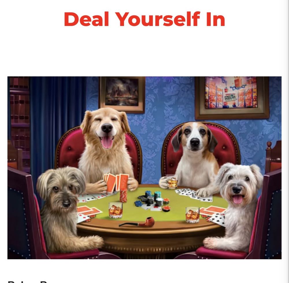 Ravensburger Barbie Challenge