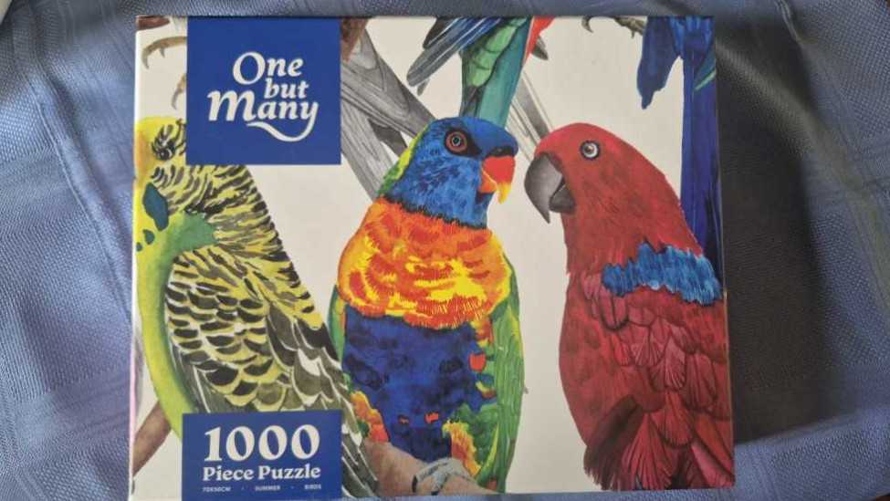 D-1000-330: The Two in Wedding Attire