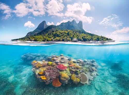 D-1000-155: Mickey & Minnie 70th Anniversary Special Commemorative