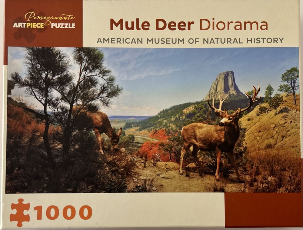 AP-3-502: Sunflower field