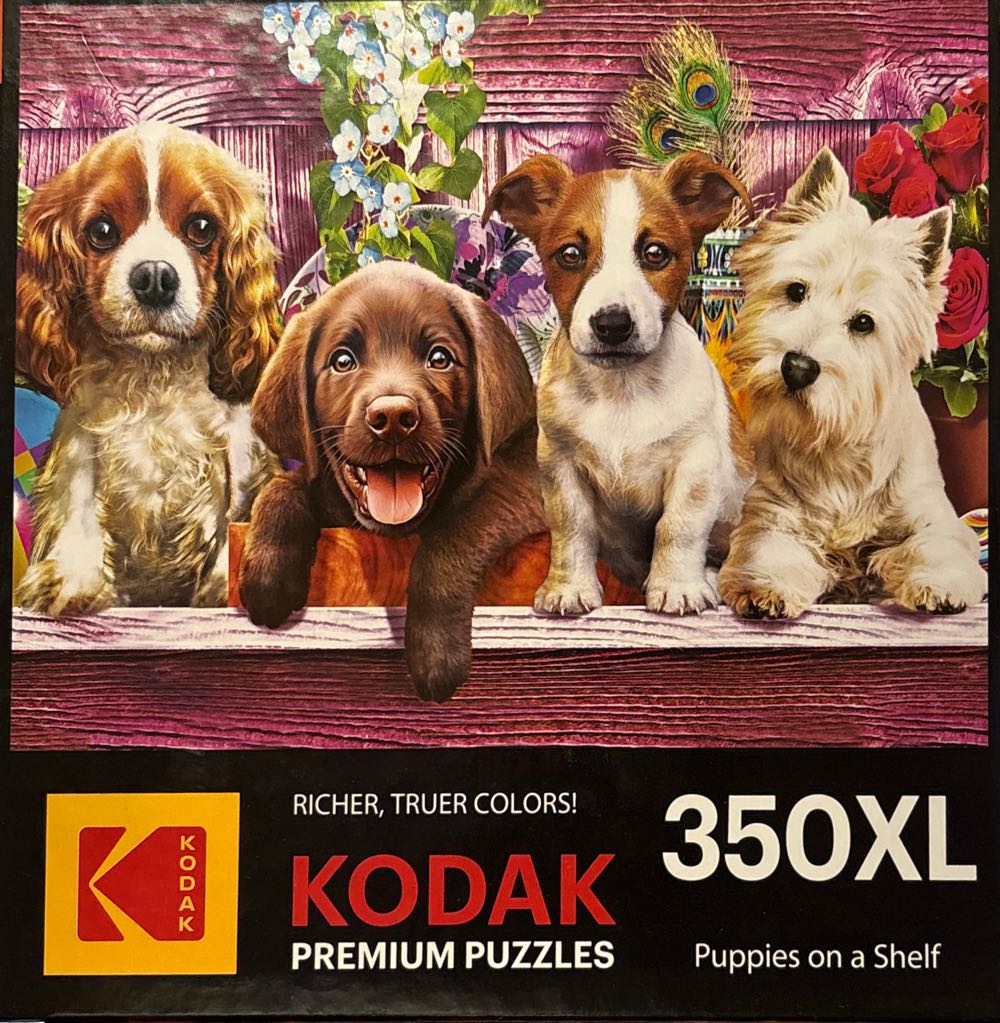 National Geographic Wild African Lion Jigsaw Puzzle 100 Pieces 15x11