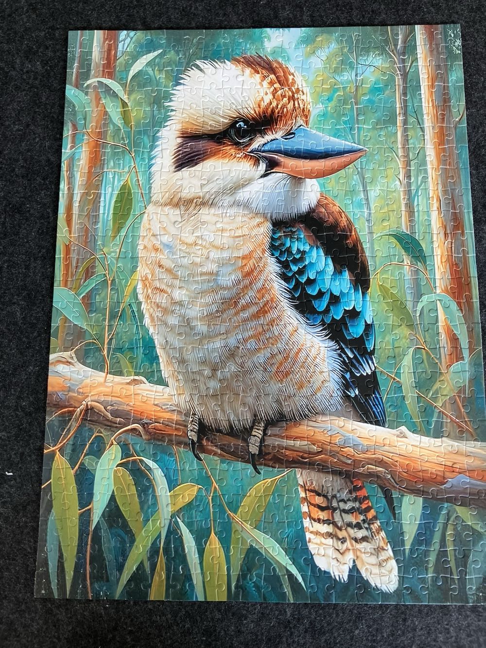 Kookaburra - Temu (marketplace listing; brand not shown on image) puzzle collectible [Barcode 26549502270] - Main Image 2