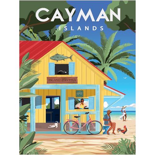 Vista View Brand Oranges