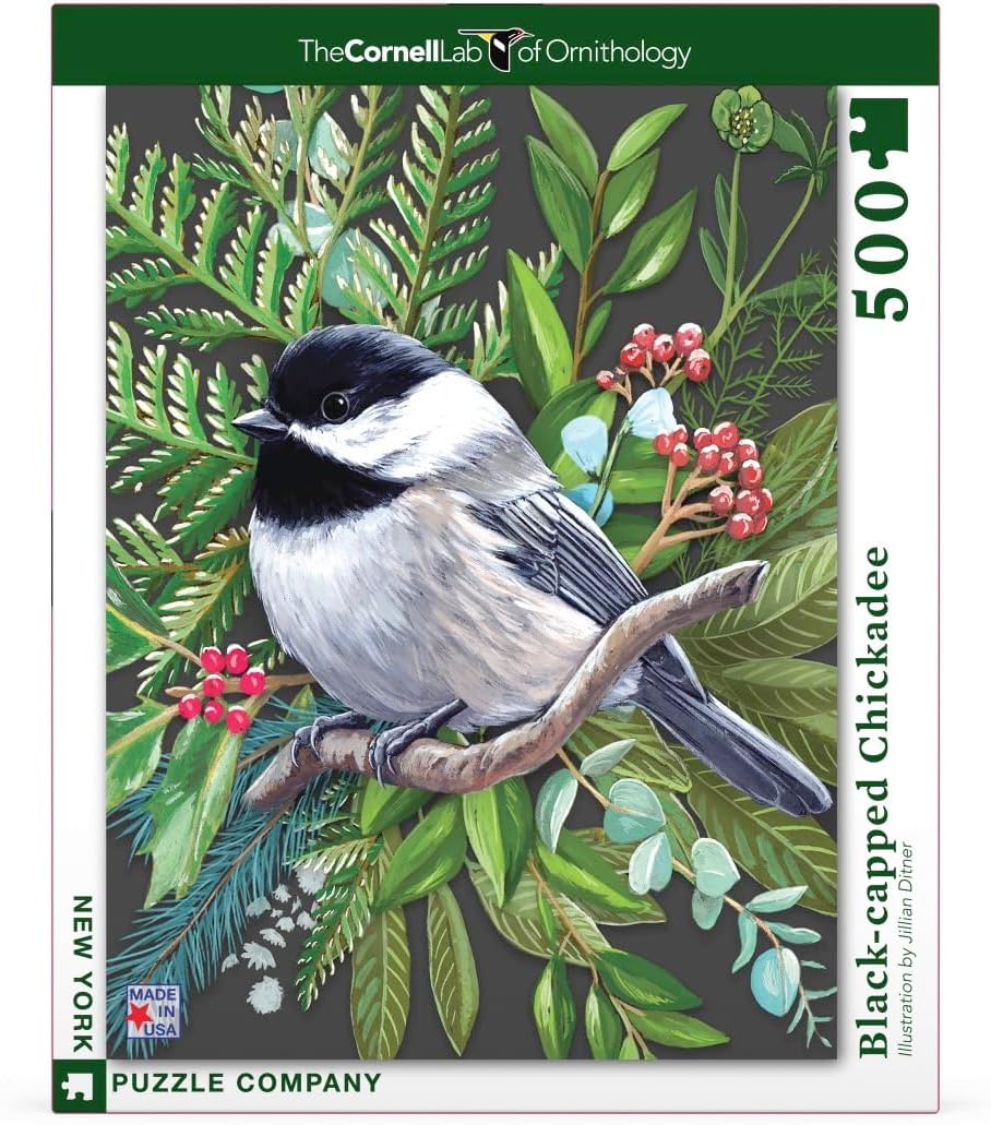 500 Piece Jigsaw Puzzle Antelope Canyon Free Shipping