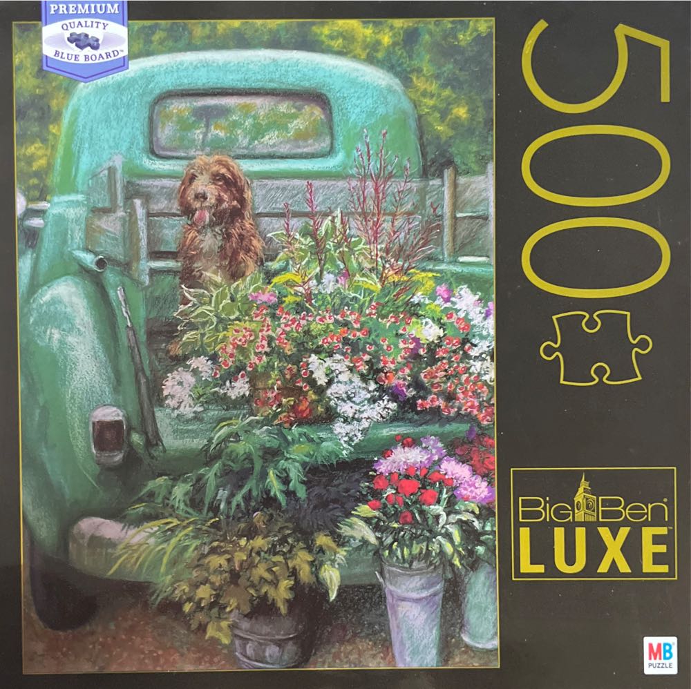 Care Bears - Camping Party