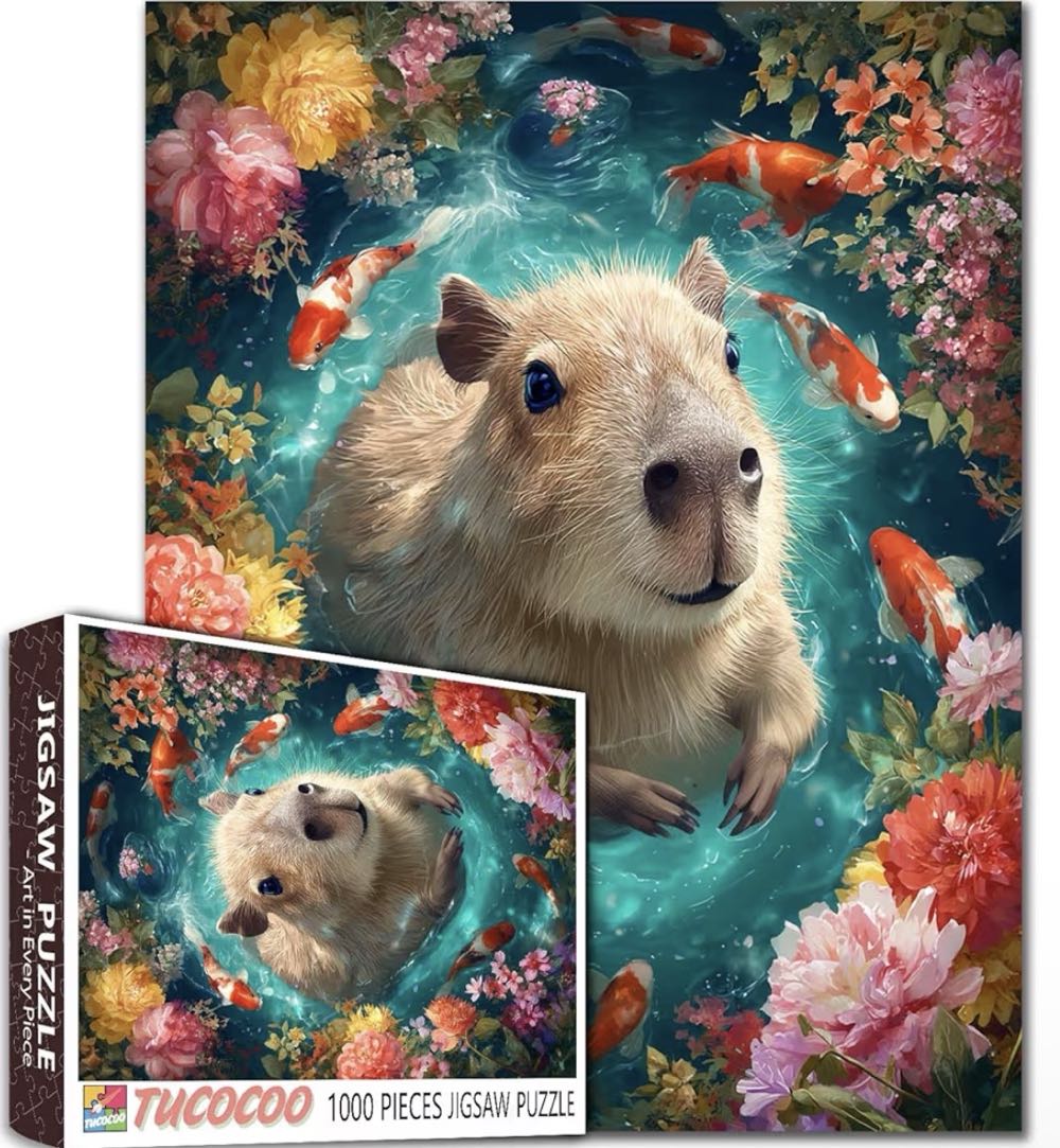 Reflections Of Hartenfels Castle