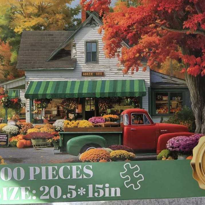 A Night in Transylvania