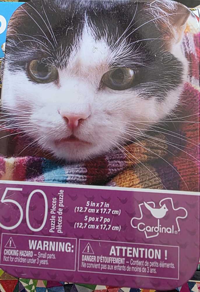 Memory Lane - Market Fresh Morning ✅