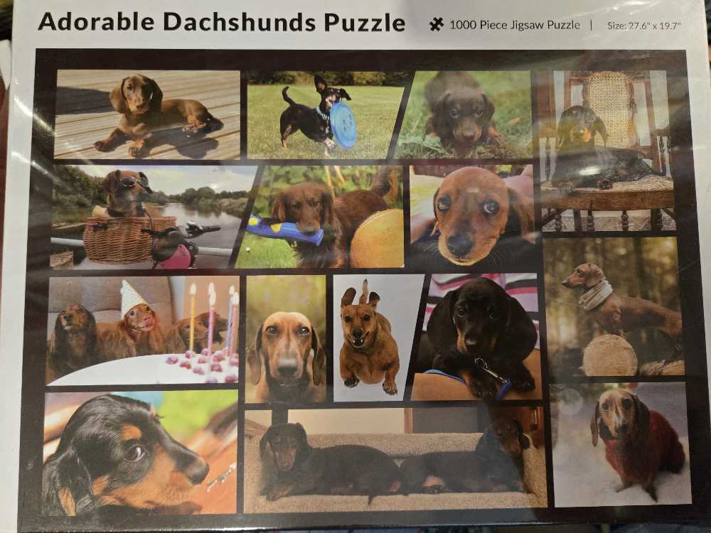 Bunnies by the Brook