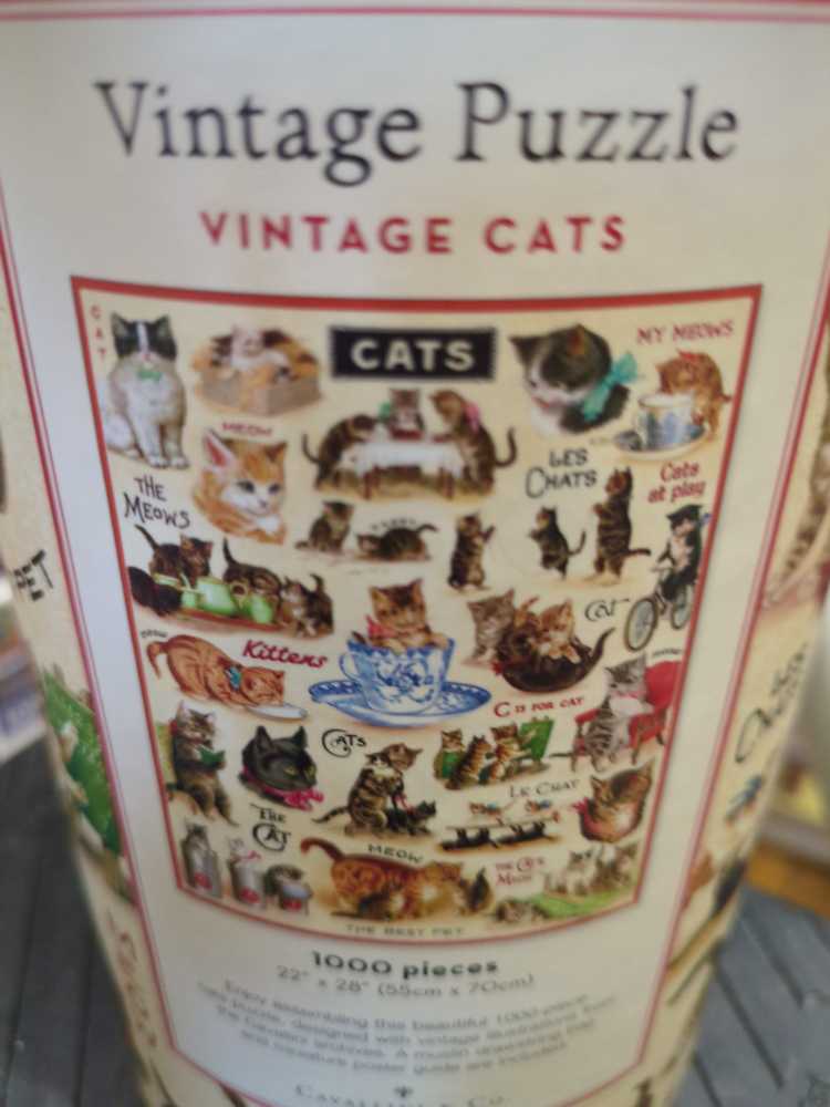 The Flash Collector’s Edition