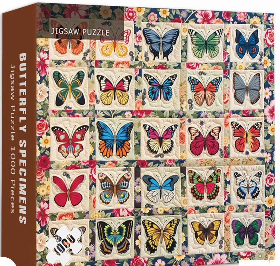 Boating on the Canal