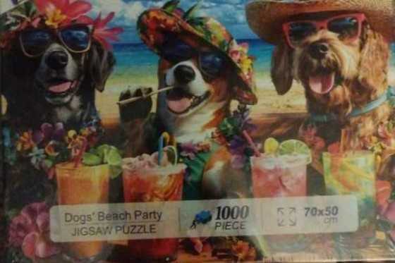 DSM-151-201: Found It! (Mickey Mouse)