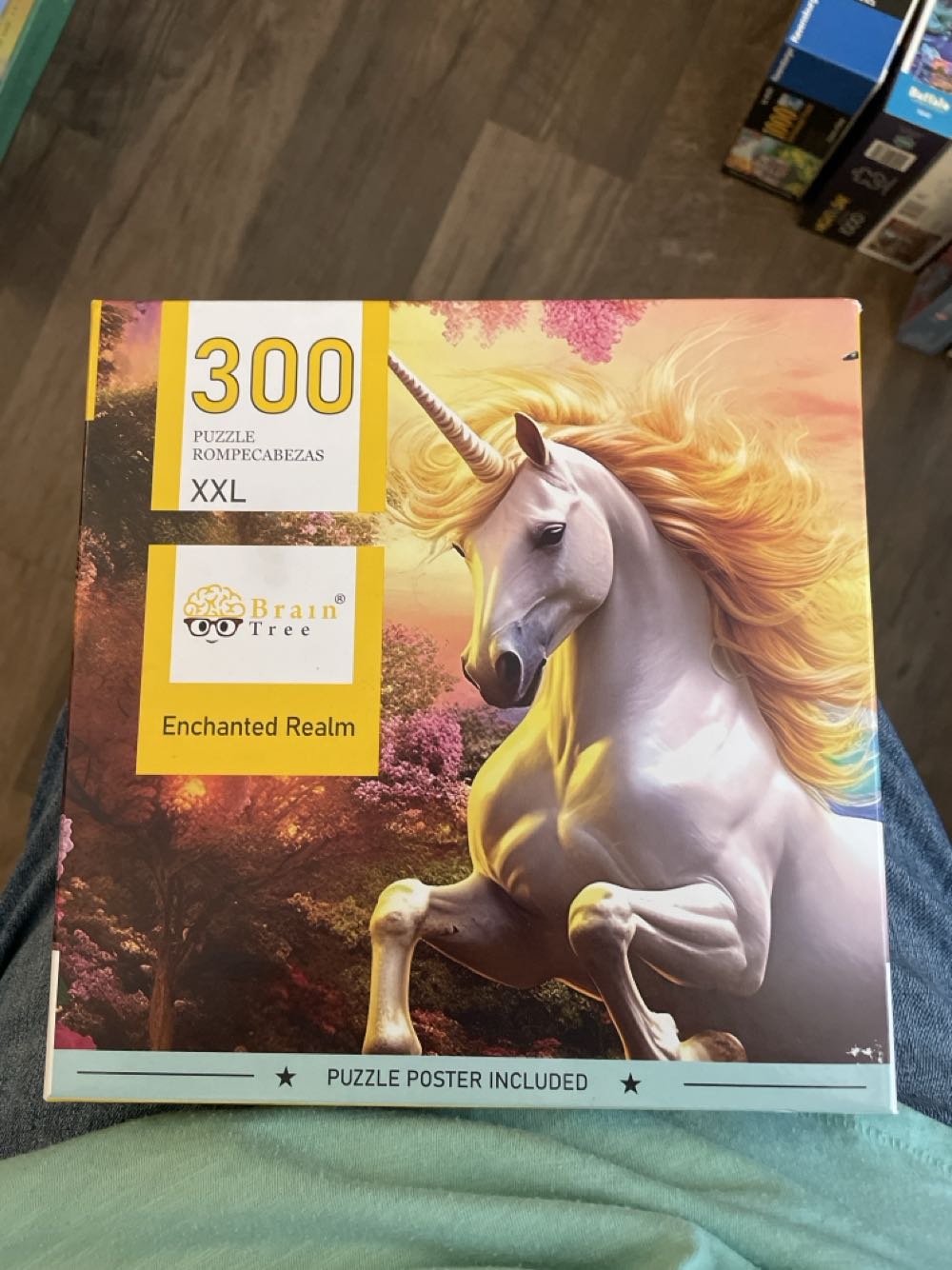 476. The Lovers Of Venice