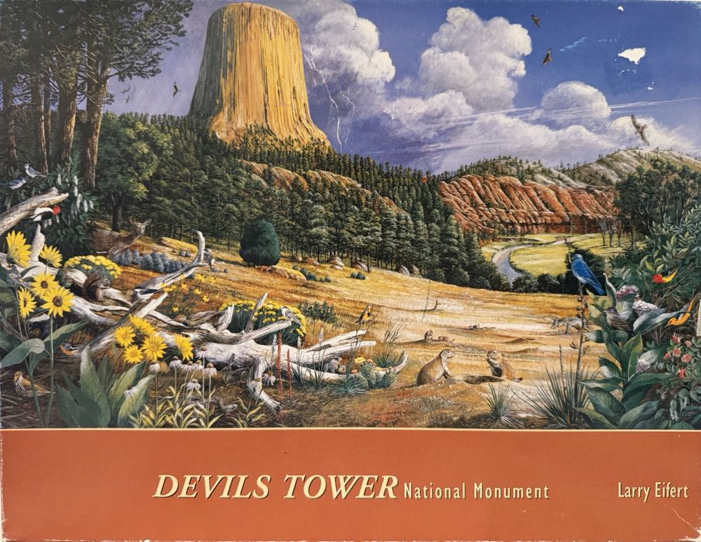 Care Bears: Adult Colouring Book And Set Pieces Paperback Book