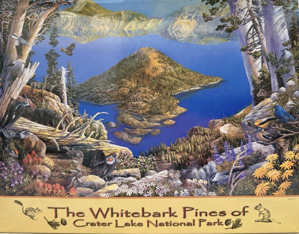 Olleo La Dolce Vita Puzzle 500pcs