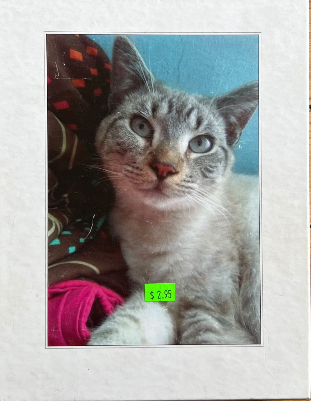 Reflections Of Hartenfels Castle