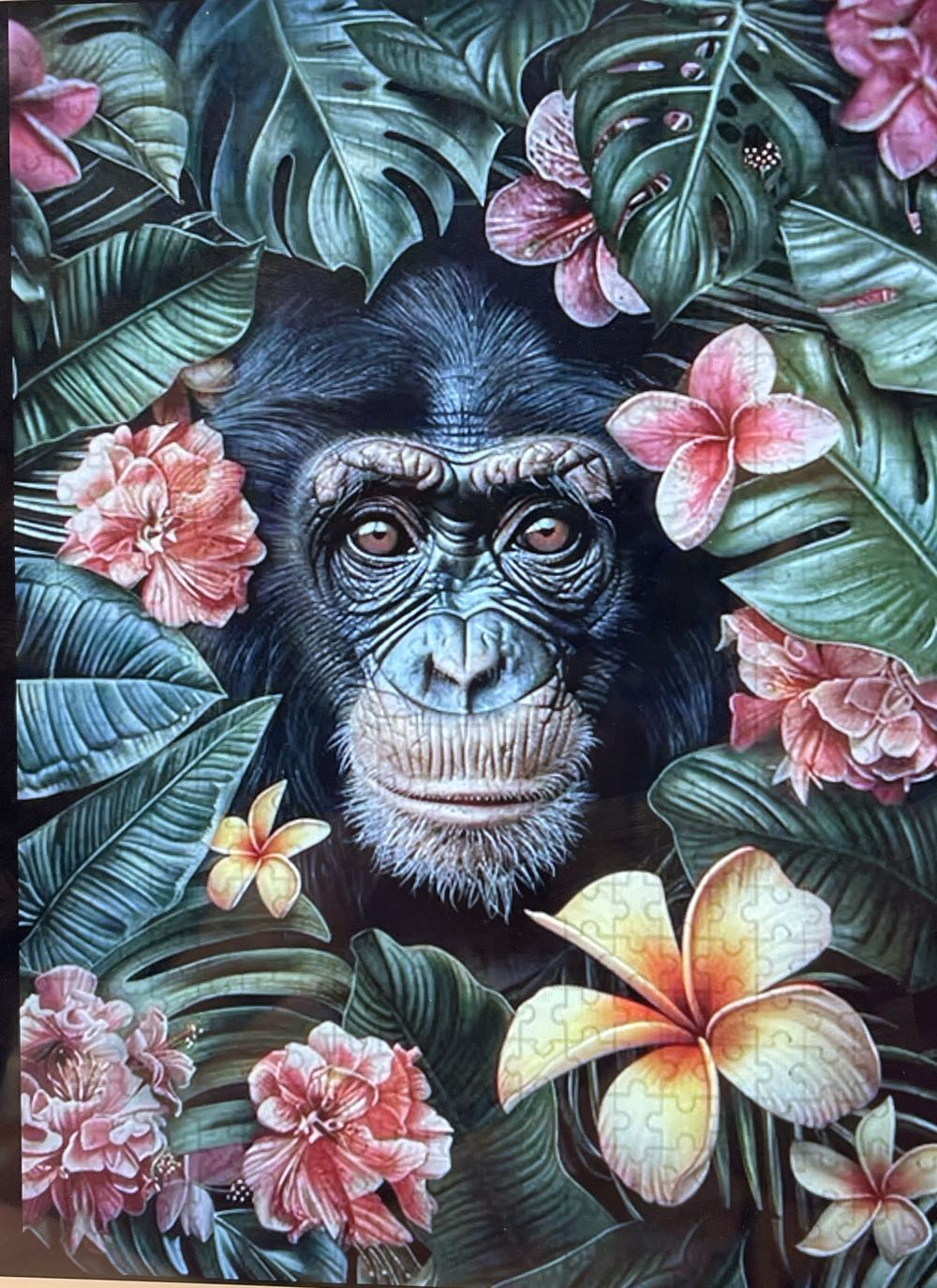 D-200-810: Memories of Soap Bubbles