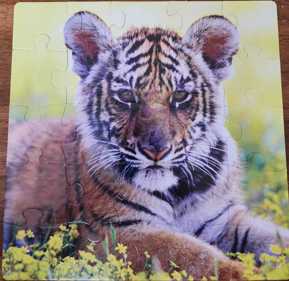 Mega Paws 25 Piece Game  puzzle collectible [Barcode 072348510114] - Main Image 2