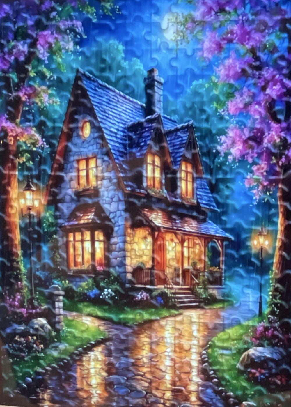 Adult Puzzle 99 Pieces France