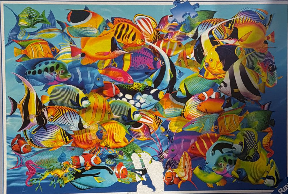 DG-456-740: Ultimate Princess Celebration