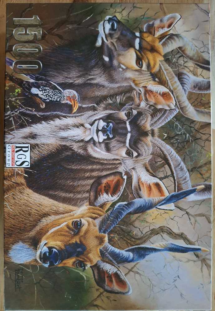 Dotson Puppies In Beanies 🌀