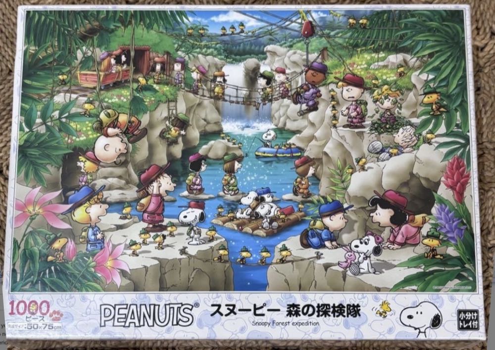 New York Company National Geographic Appalachian Trail 750 Teile Appalachian