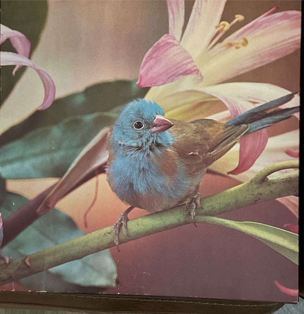 An Egyptian Chronicle